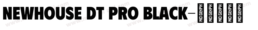 Newhouse DT Pro Black字体转换